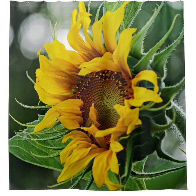 Sunflower Shower Curtain (Front)