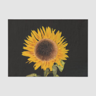 Sunflower Single Black Background Floral Elegant Tissue Paper
