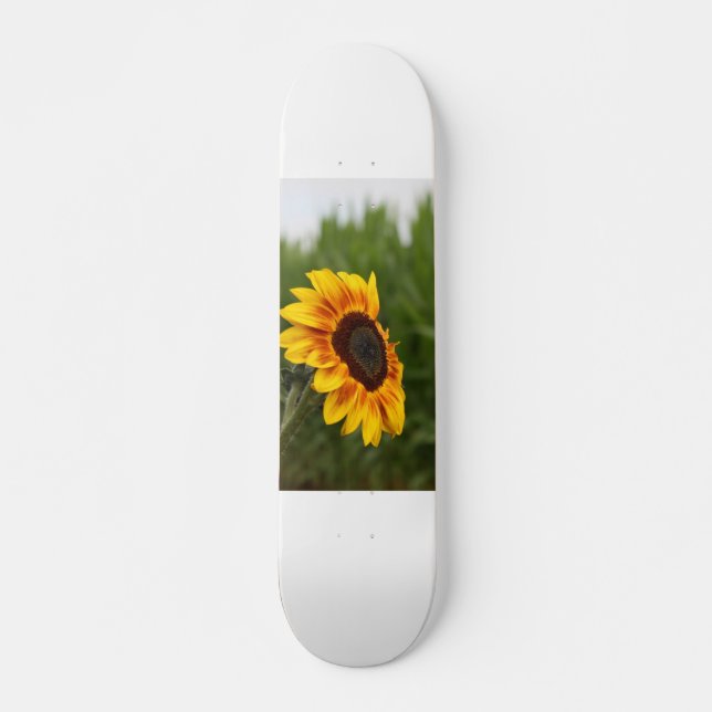 Sunflower Skateboard (Front)