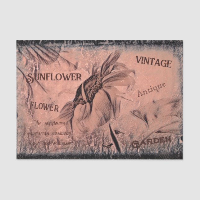 Sunflower Sketch Sepia Vintage Antique Ephemera Tissue Paper (Front)