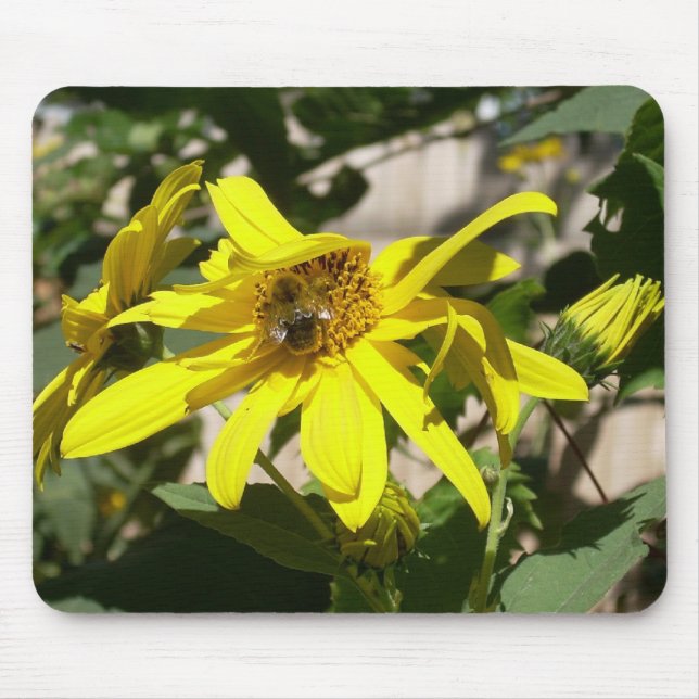 Sunflower snack mouse mat (Front)