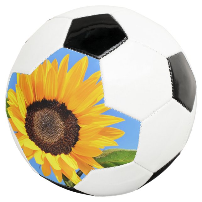 Sunflower Soccer Ball (Three Quarter)