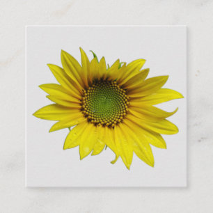 sunflower solo Card