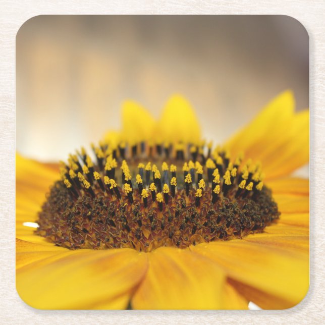 Sunflower Square Paper Coaster (Front)