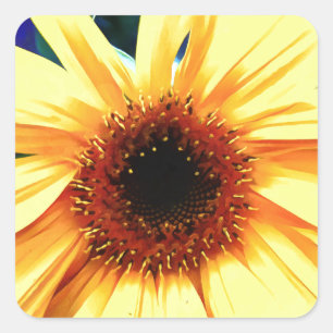 Sunflower Square Stickers