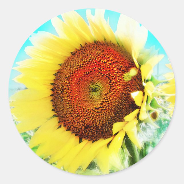 Sunflower sticker (Front)