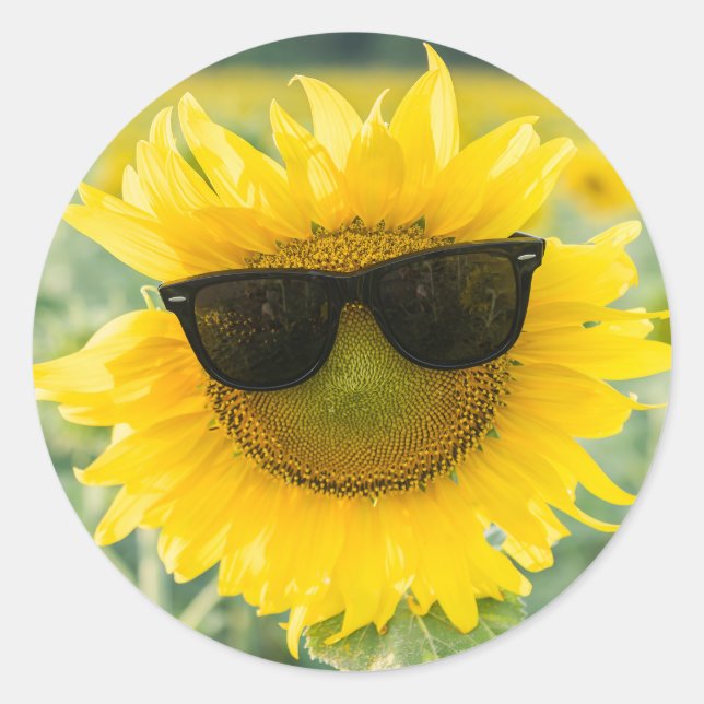 Sunflower Stickers | Cute Sunflowers (Front)