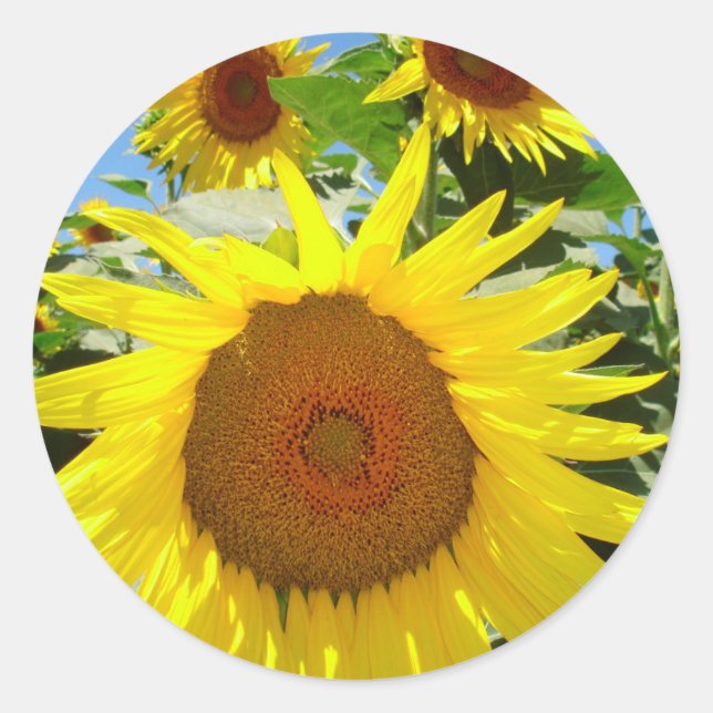 Sunflower stickers = floral sticker (Front)