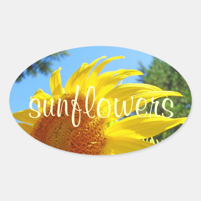 Sunflower stickers Summer Yellow Glowing Flowers (Front)