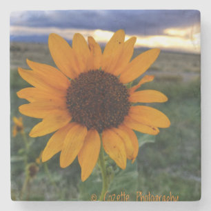 Sunflower Stone Coaster