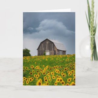 Sunflower Storm Blank Note Card