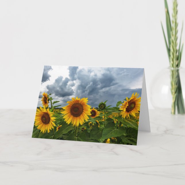 Sunflower Storm Blank Note Card (Front)
