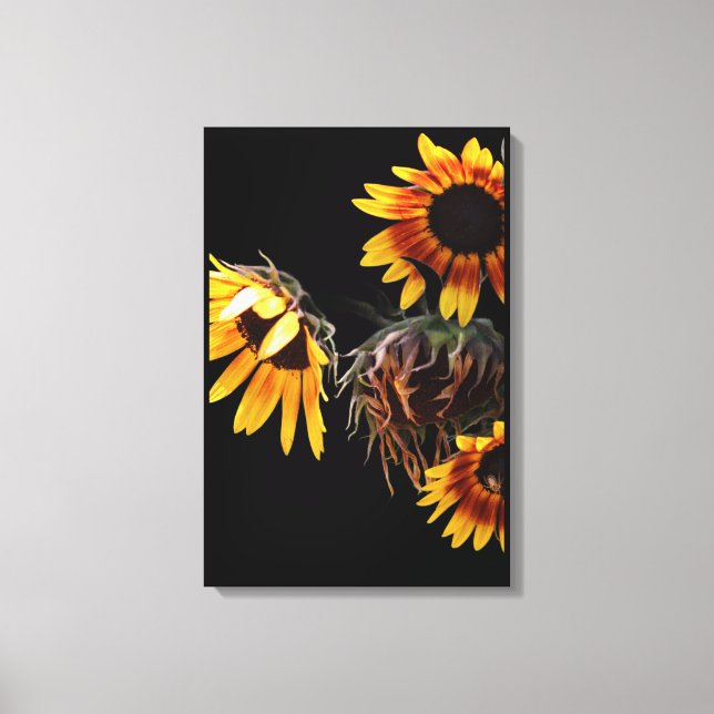 Sunflower Stretched Canvas Print (Front)