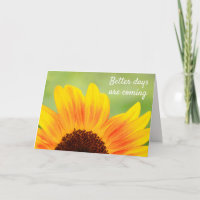 Sunflower Stronger Than Cancer 