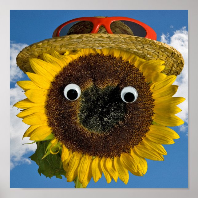 Sunflower Summer Fun Poster (Front)