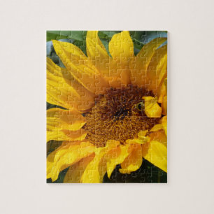 Sunflower Sun Jigsaw Puzzle