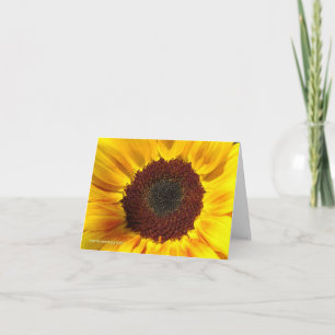 Sunflower Sun - Note Card