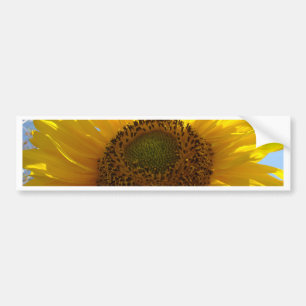 SUNFLOWER SunFlowers Sun Flowers Bumper Stickers