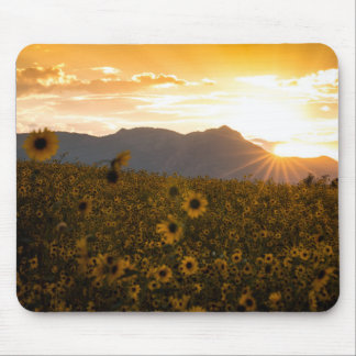 Sunflower Sunset Mouse Mat