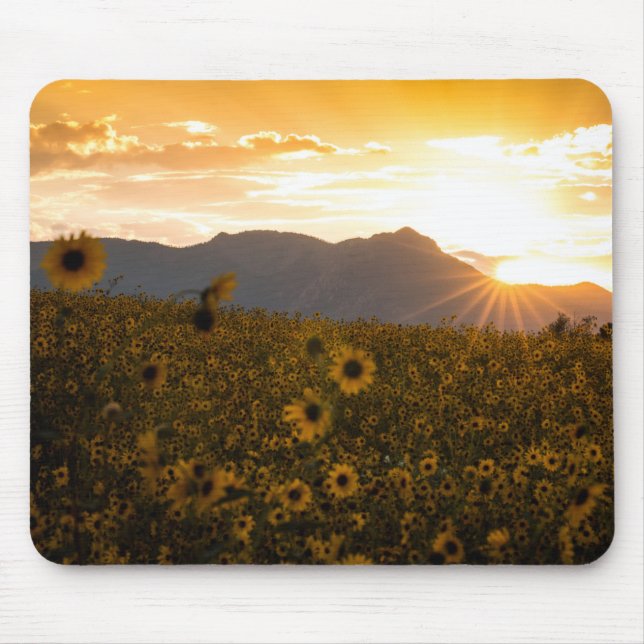 Sunflower Sunset Mouse Mat (Front)