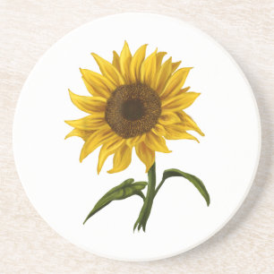 Sunflower Sunshine Floral Watercolor Flower Coaster