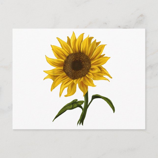 Sunflower Sunshine Floral Watercolor Flower Holiday Postcard (Front)