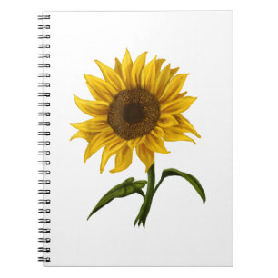 Sunflower Sunshine Floral Watercolor Flower Notebook