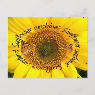 SUNFLOWER SUNSHINE ~ POstcard