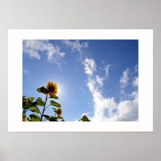 Sunflower & Sunshine Poster