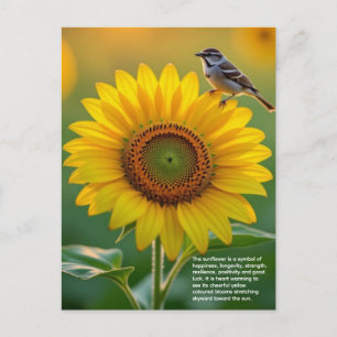 Sunflower Symbolism Postcard