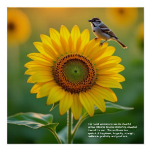 Sunflower Symbolism Poster
