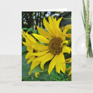 Sunflower Thank You Card