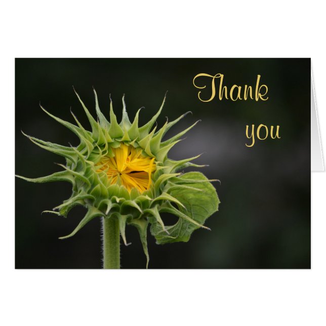 Sunflower Thank You Card (Front Horizontal)