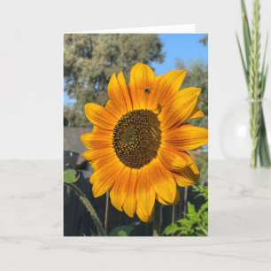 Sunflower  thank you card