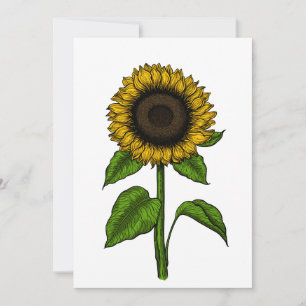 Sunflower Thank You Card