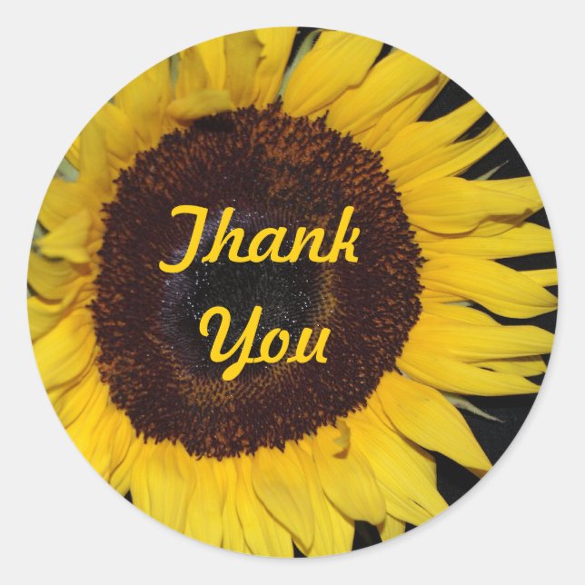 Sunflower, Thank You Classic Round Sticker (Front)