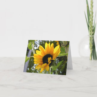 Sunflower @ The Children's Garden Card