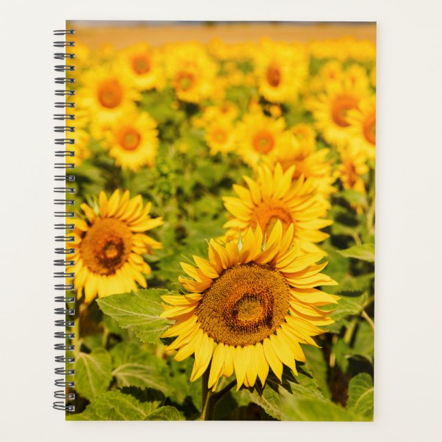Sunflower Themed Gift for Travel Lover Planner (Front)