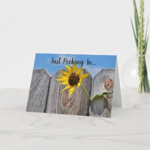 Sunflower Through Fence Friendly Card