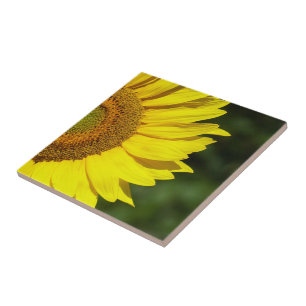 Sunflower Tile