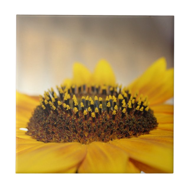 Sunflower Tile (Front)