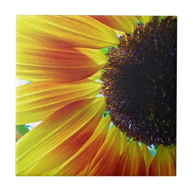Sunflower Tile (Front)