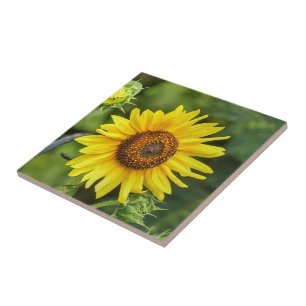 Sunflower tile