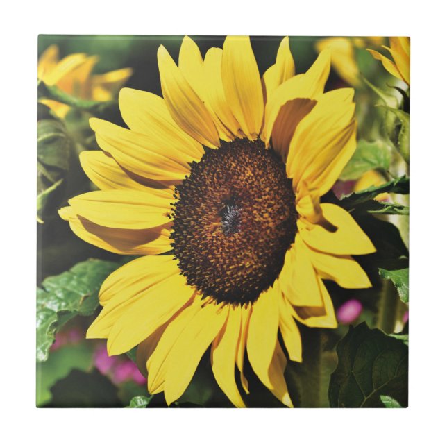Sunflower  tile (Front)