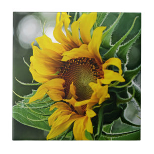 Sunflower Tile