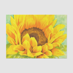 Sunflower Tissue Paper