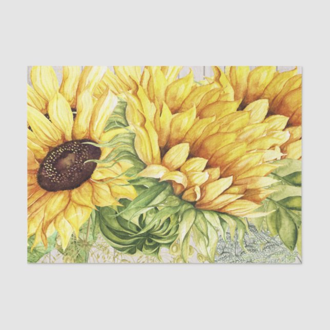 Sunflower Tissue with Wood Image Background Paper (Front)
