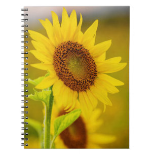 Sunflower Travel Mug Notebook