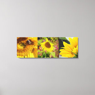 Sunflower Trio Canvas Print