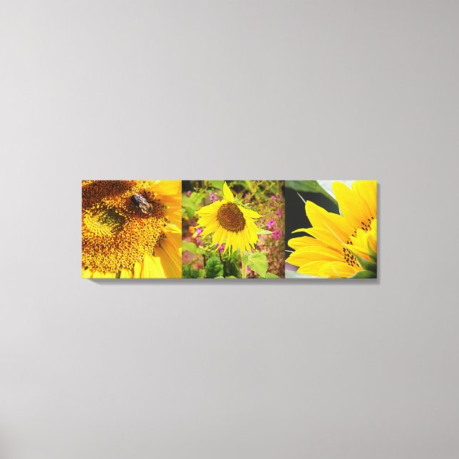 Sunflower Trio Canvas Print (Front)
